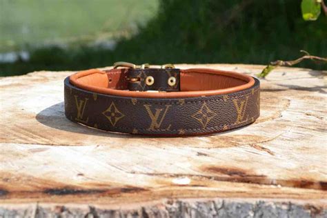 Louis vuitton dog collar 